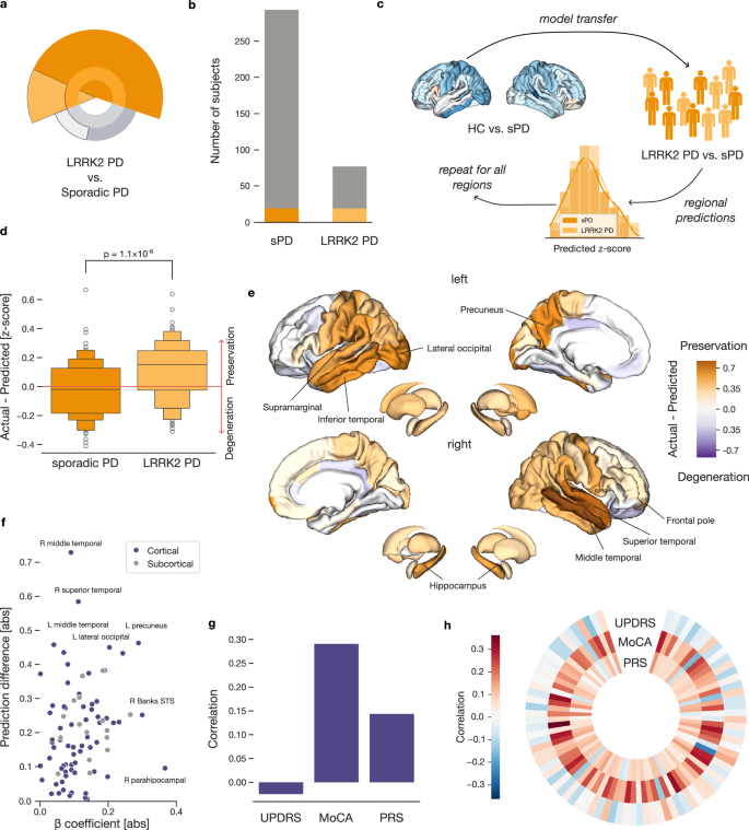 Fig. 3: Parkinson’s patients with LRRK2 pathogenic variants show a milder form of brain atrophy.