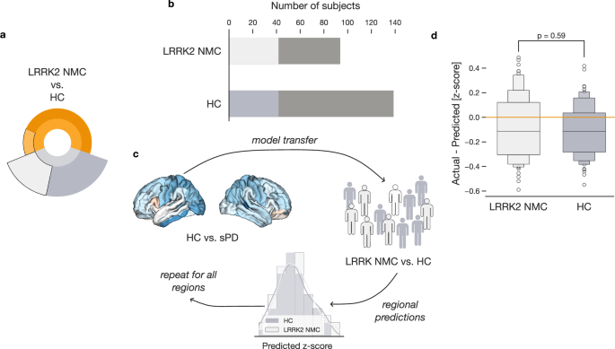 Fig. 4: Absence of significant brain structure alterations in LRRK2 non-manifesting carriers.