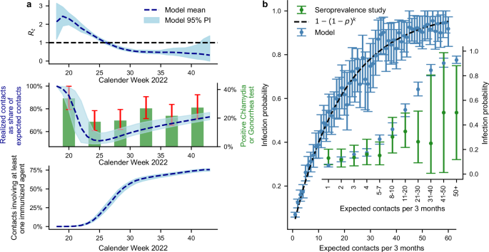 Fig. 3: Dynamics of the effective reproduction number Rt, realized contacts, immunized contacts over time, and infection probability relative to expected number of contacts.