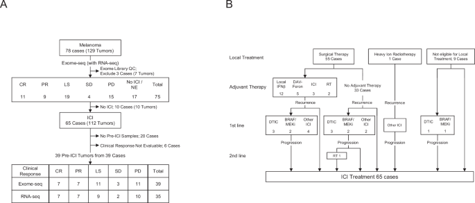Fig. 1: Number of samples and cases with therapeutic response status and genomic or transcriptomic analyses.