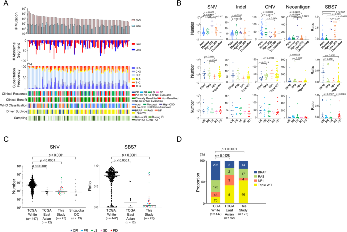 Fig. 2: Landscape of Japanese melanoma exomes.