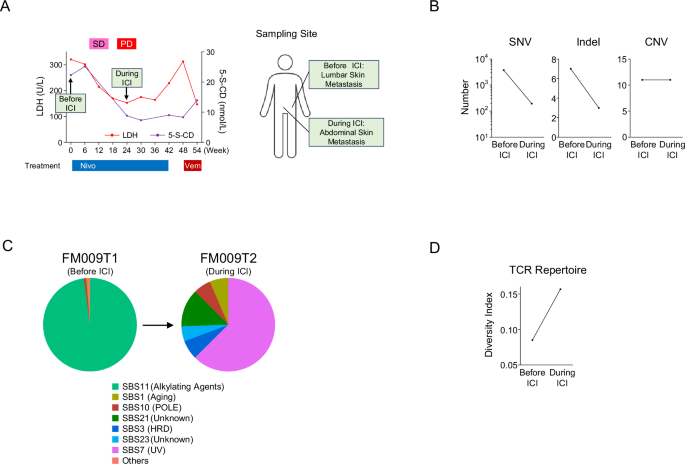 Fig. 4: Clonal change by ICI treatment.