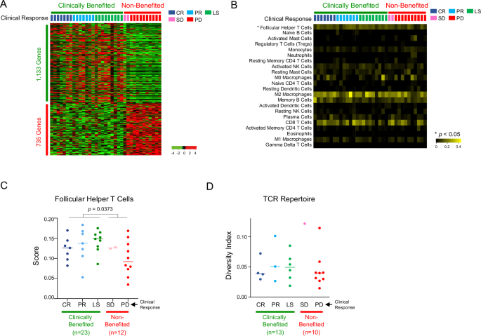 Fig. 5: Transcriptomic features of tumor samples of clinically benefited and non-benefited patients for ICIs.