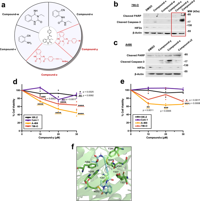 Fig. 4: Identification of the Compound-c2 pharmacophore.