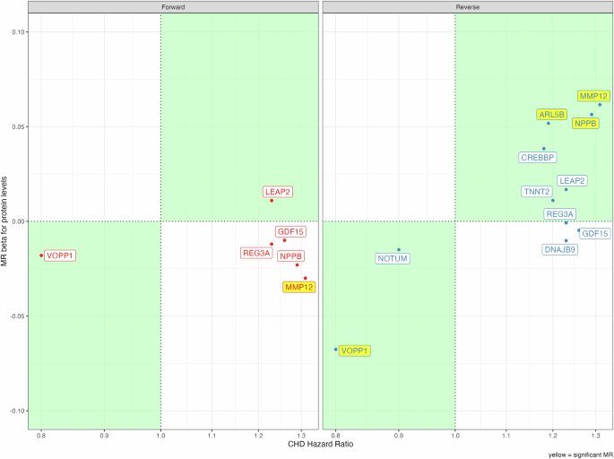 Fig. 2: Observed protein to CHD associations, Forward MR, Reverse MR.