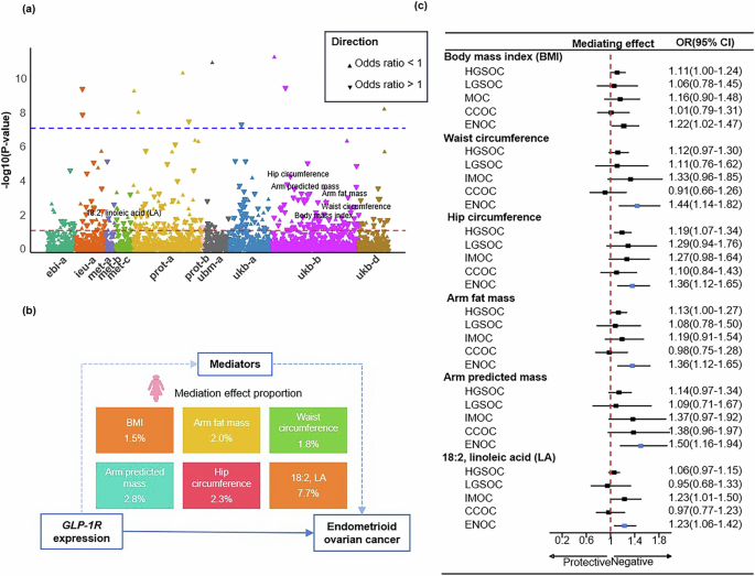Fig. 3: Mediation analysis of the effect of GLP-1R expression in pancreas on endometrioid ovarian cancer through metabolic factors.
