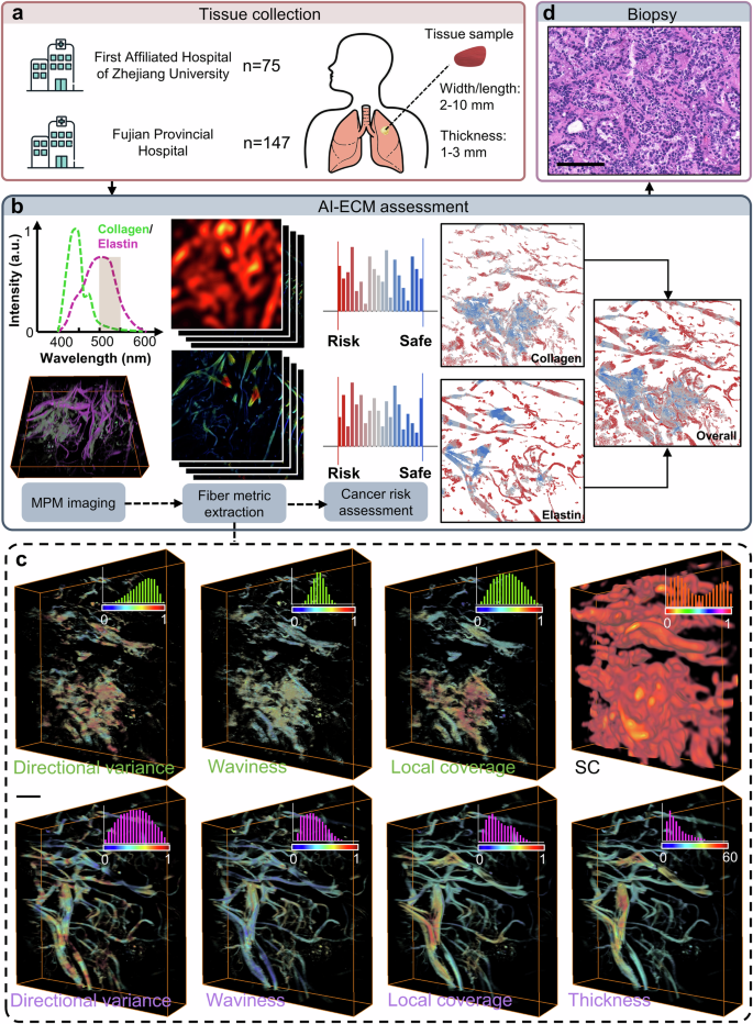 Fig. 1: Workflow of AI-ECM for intraoperative application.