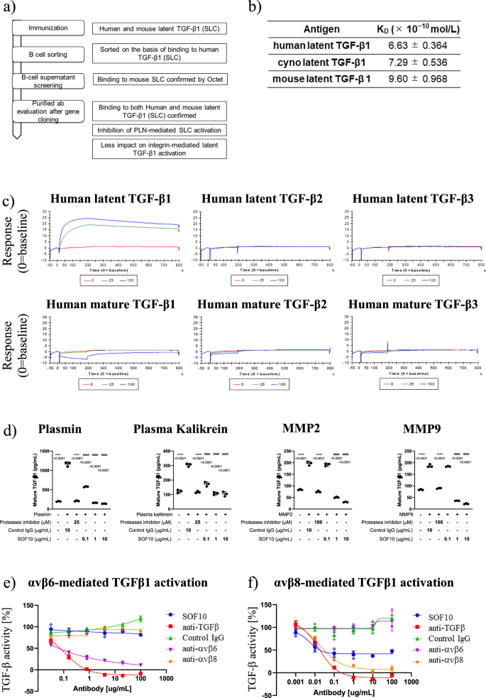 Fig. 1: In vitro properties of the anti-latent TGF-β1 antibody SOF10.