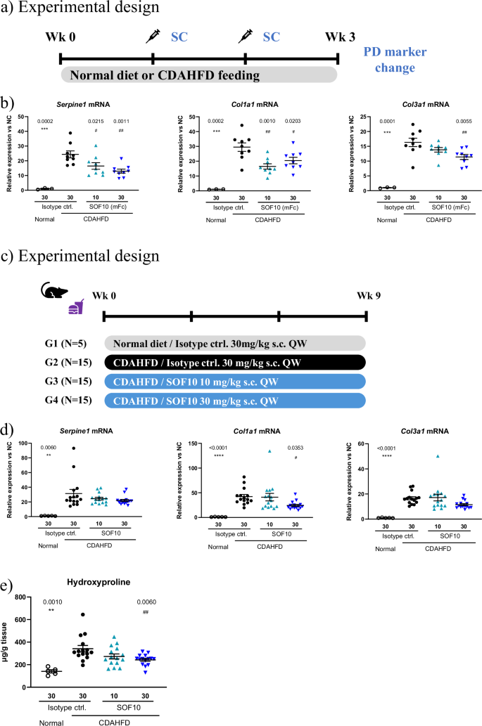 Fig. 3: SOF10 shows antifibrotic activity in liver fibrosis model.