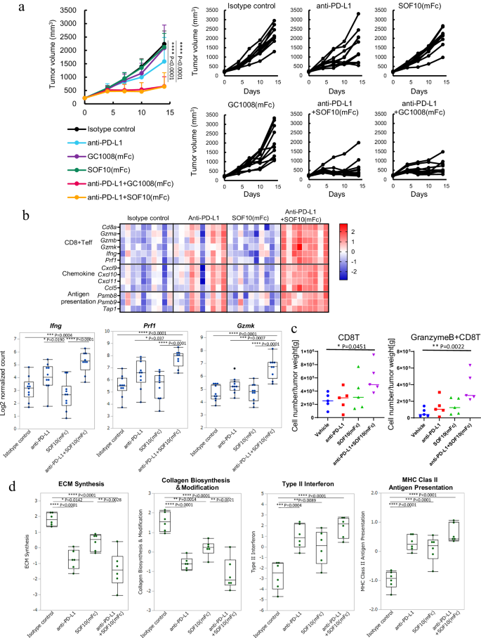 Fig. 5: Efficacy of SOF10 (mFc) combined with an anti-PD-L1 in an EMT6 immune-excluded tumor model.