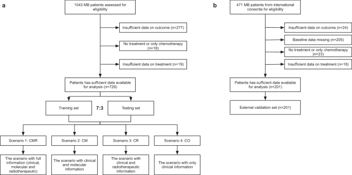 Fig. 1: Cohort flow diagram.