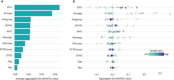 Fig. 4: Global model explanation by the SHapley Additive exPlanations (SHAP) method for each feature variable within the final model in testing set (n = 59).