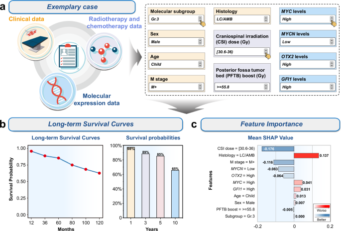 Fig. 5: Online web application for clinical utility.