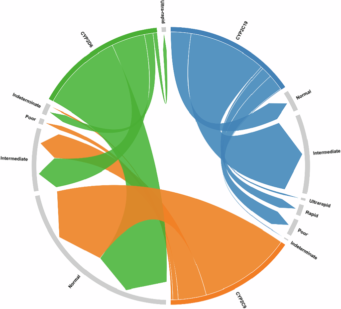 Fig. 2: Metabolizer phenotype distribution of CYP2D6, CYP2C9, and CYP2C19 in the studied controls.