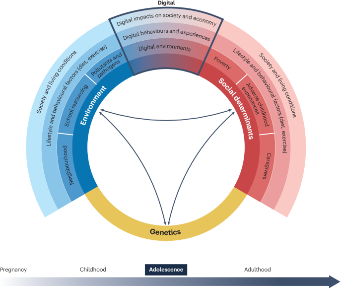 research on social media impact figure 2
