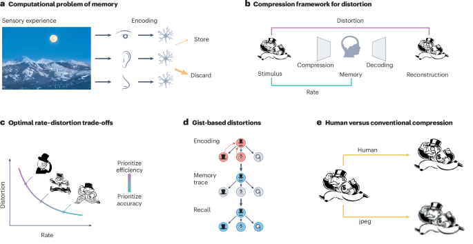 Adaptive compression as a unifying framework for episodic and semantic ...