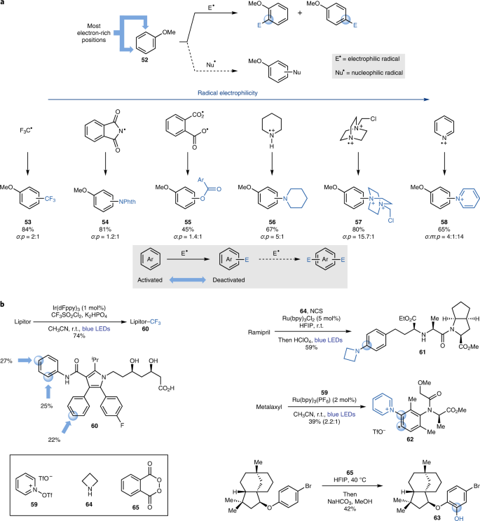 Radical Professional Polarizing Trinocular Geology Mineralogy Microscope -10Mp USB Camera 並行輸入品 Advanced Research Polarizing Microscope - Industrial Research