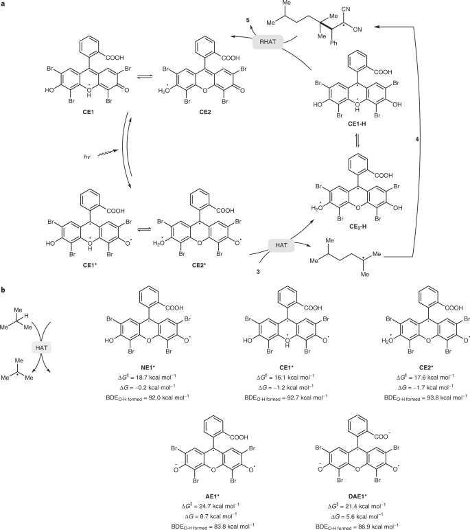 Bronsted Acid Enhanced Direct Hydrogen Atom Transfer Photocatalysis For Selective Functionalization Of Unactivated C Sp3 H Bonds Nature Synthesis