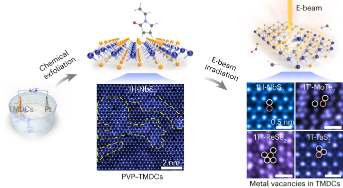 research on transition metal complexes