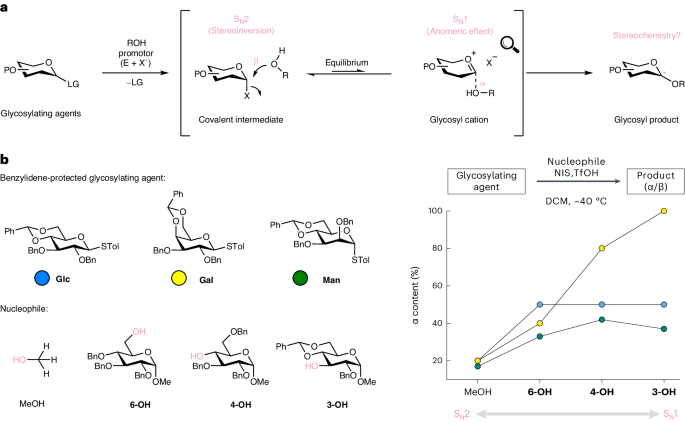 Fig. 1: Stereoselectivity in glycosylation reactions.