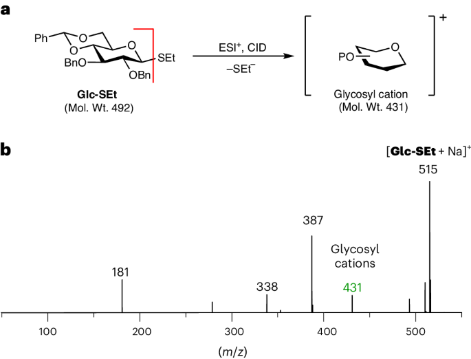 Fig. 2: Formation of glycosyl cations using MS.