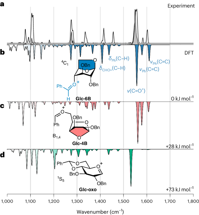 Fig. 3: IR spectra of glucosyl cations with benzylidene groups.