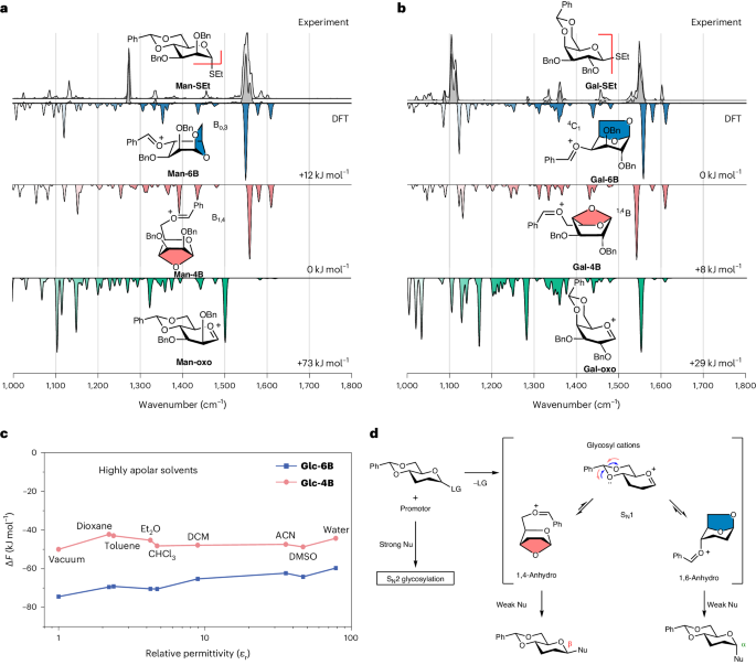 Fig. 4: Structures and IR spectra of glycosyl cations with benzylidene group.