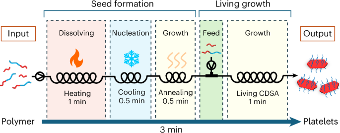 高速ポリマーナノ構造の製造技術のブレークスルー (Breakthrough in Rapid Polymer Nanostructure Production)