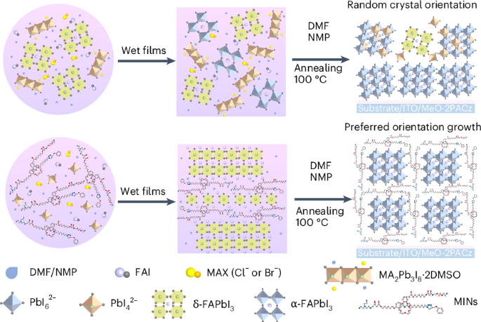 Mechanically interlocked polymer scaffolds enable high-efficiency printed flexible perovskite photovoltaics – Nature