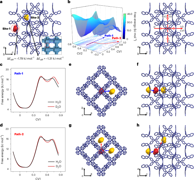 Fig. 4: Computational investigation of the D2O/H2O separation mechanism of PWPN-1a.