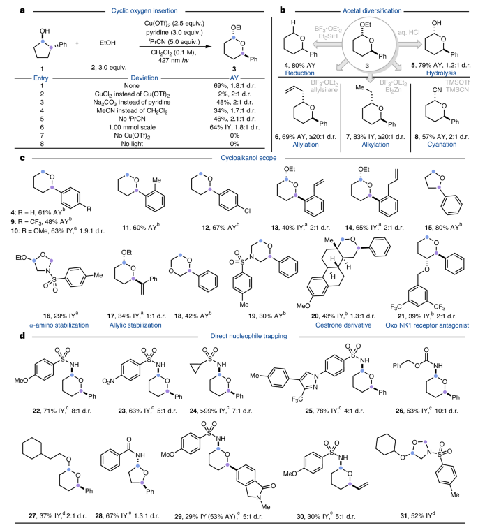Fig. 2: Scope of oxygen migration into carbocyclic scaffolds.