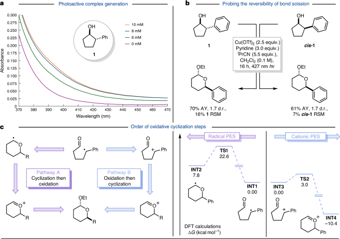 Fig. 3: Mechanistic studies.