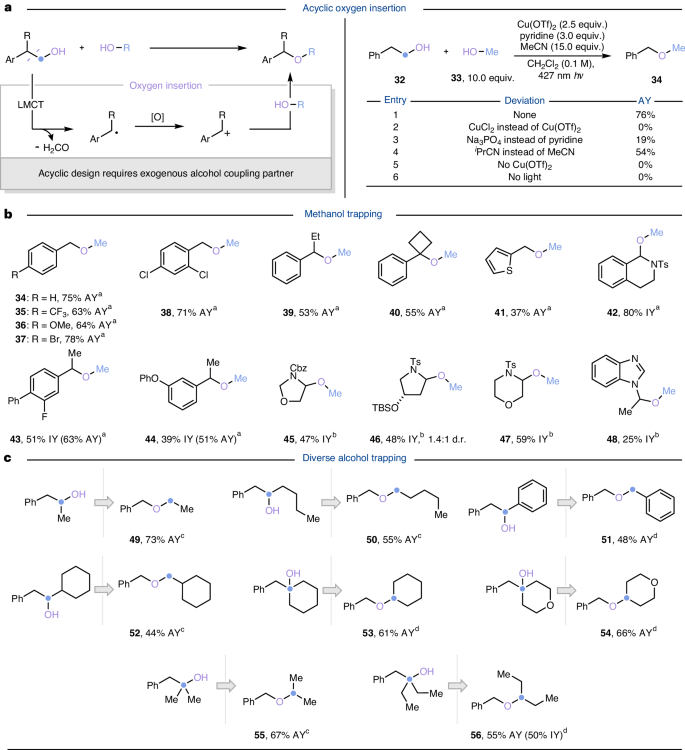 Fig. 4: Scope of functional-group permutation.
