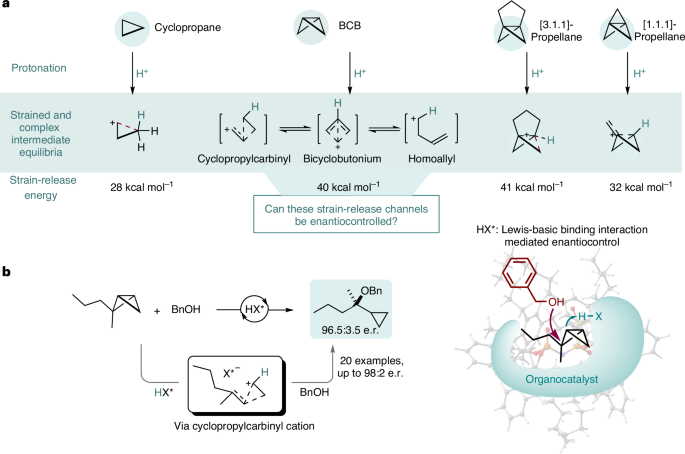 Fig. 1: Progress in strain-release chemistry.