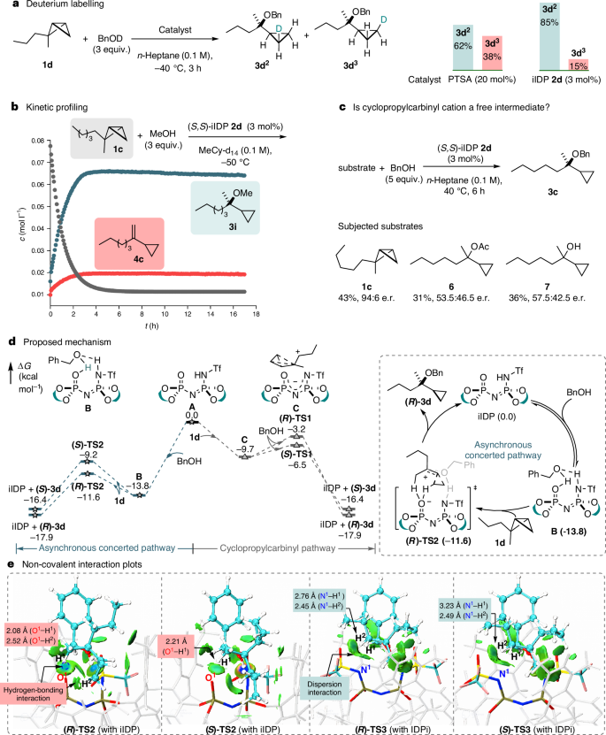 Fig. 4: Mechanistic studies.