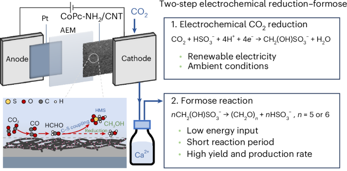 持続可能性とCO₂除去を両立する新しい触媒法を開発（Sweetening the deal for sustainability ― while removing carbon dioxide）