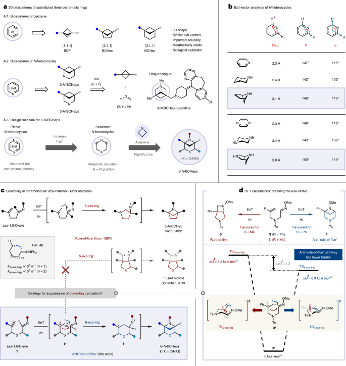 Fig. 1: Three-dimensional scaffold mimetics of heteroaromatic rings, showing state of the art and reaction design using anti-rule-of-five intramolecular aza-Paternò–Büchi reaction.
