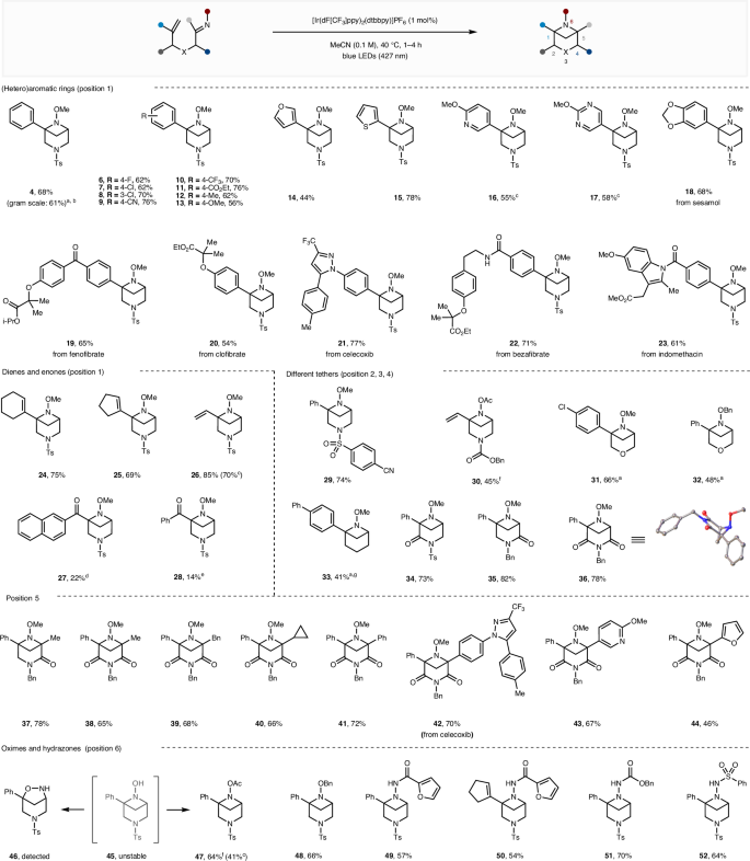Fig. 2: Substrate scope of the 6-N-BCHep synthesis.