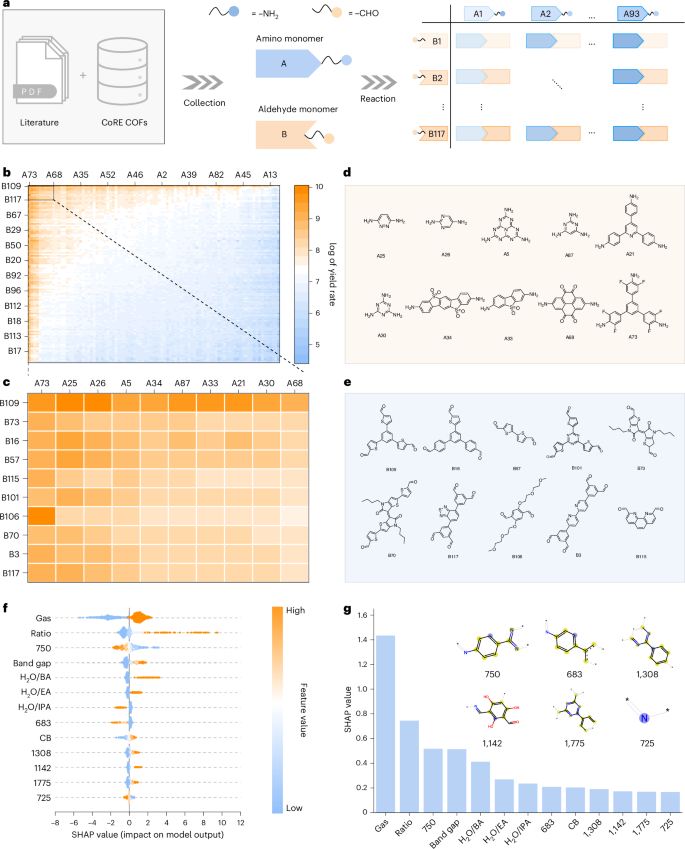 Fig. 4: Model analysis to reveal key factors for photocatalysis.