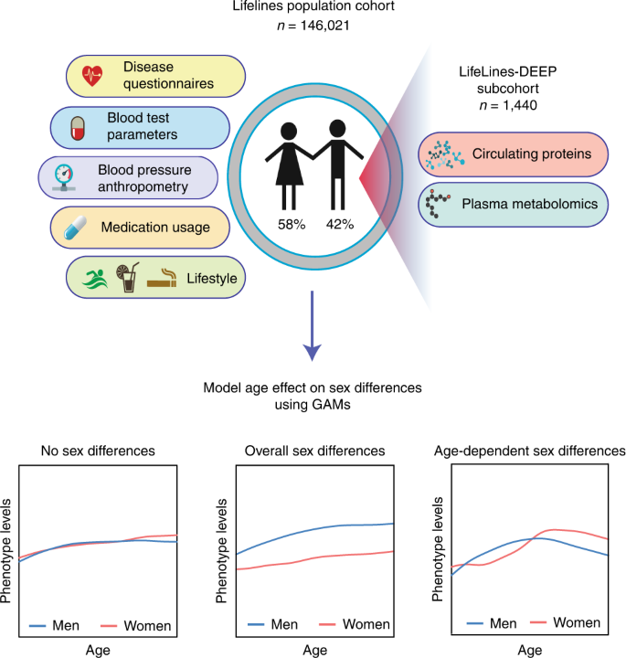 Impact of Body Mass Index and the Metabolic Syndrome on the Risk of  Cardiovascular Disease and Death in Middle-Aged Men