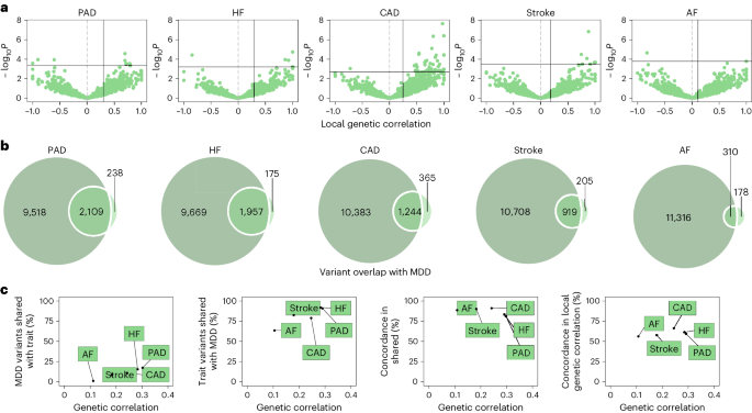 Fig. 2: Genetic overlap between MDD and CVD beyond genome-wide genetic correlation.