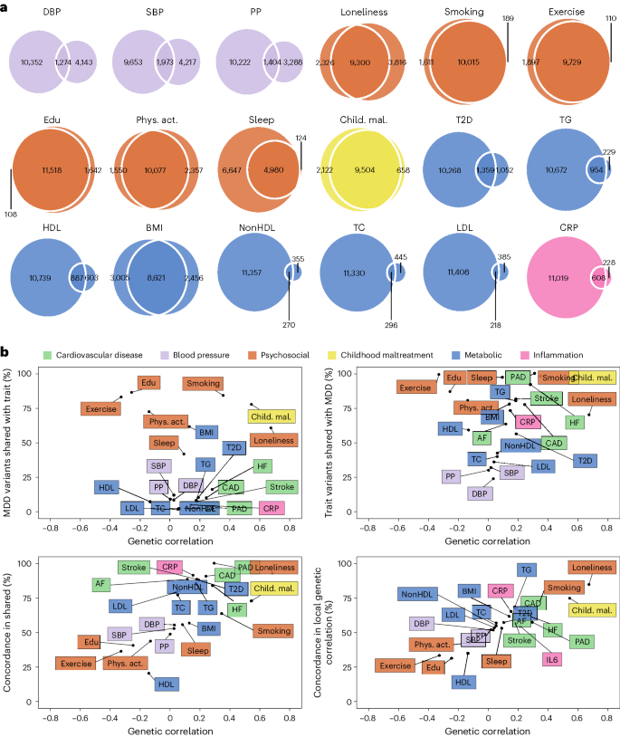 Fig. 4: Local and causal-variant level genetic correlations between MDD and risk factors.