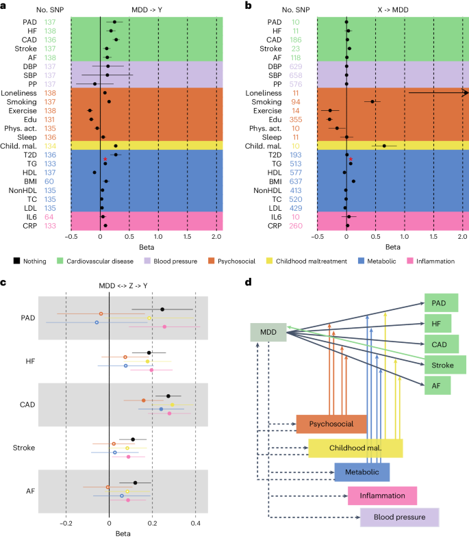 Fig. 6: Support for causal effects between MDD, CVD and shared risk factors.