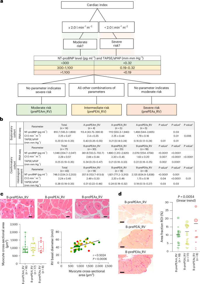Fig. 1: Classification of patients with CTEPH.