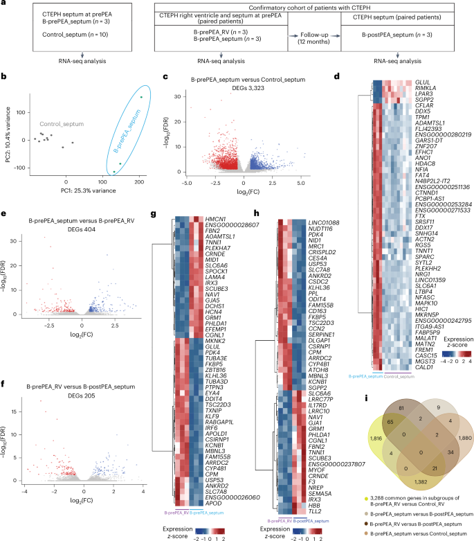 Fig. 4: Analysis of the transcriptomic profile of the septum before PEA and comparing it with the control septum and after PEA.