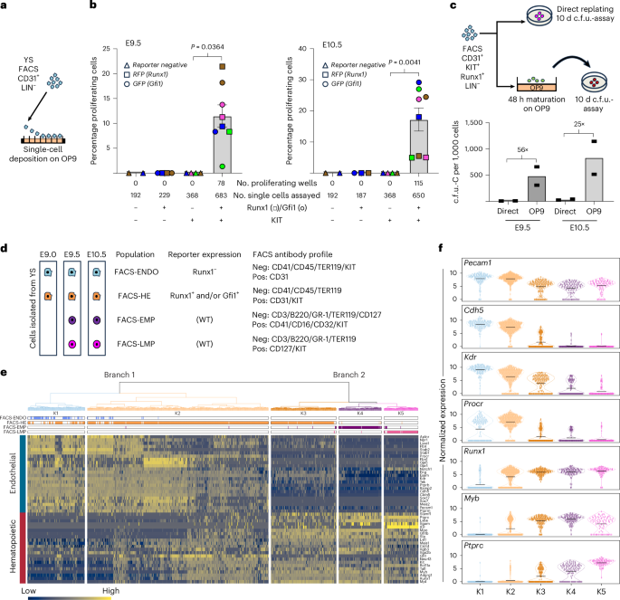 Fig. 1: Single-cell profiling of the extra-embryonic KITpos endothelial fraction to characterize extra-embryonic EHT.