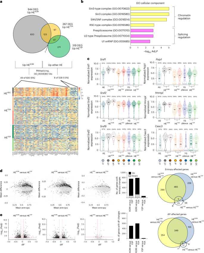 Fig. 6: Differential expression of chromatin modifiers and splicing machinery between intra- and extra-embryonic HE correlates with distinct isoform expression landscapes.