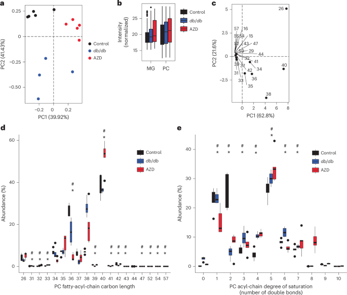 Fig. 3: AZD1656 treatment improved the cardiac lipidomic profile.