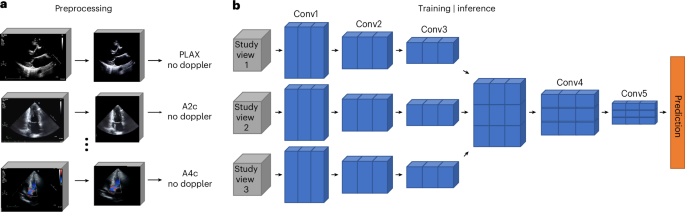 Fig. 2: Multiview DNN and data processing pipeline.
