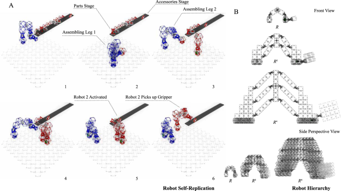 Fig. 3: Robot self-replication and hierarchy.